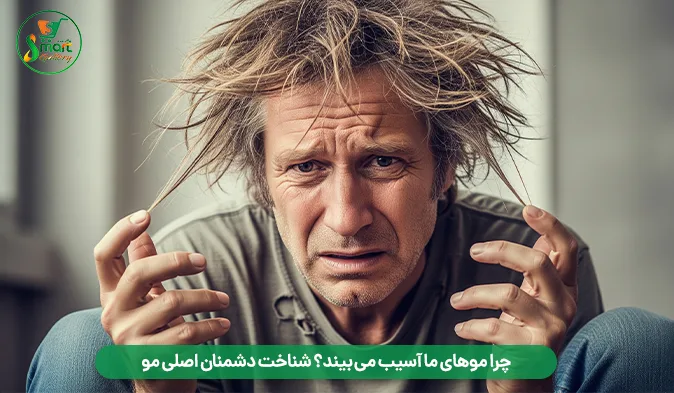 چرا موهای ما آسیب می‌ بیند؟ شناخت دشمنان اصلی مو